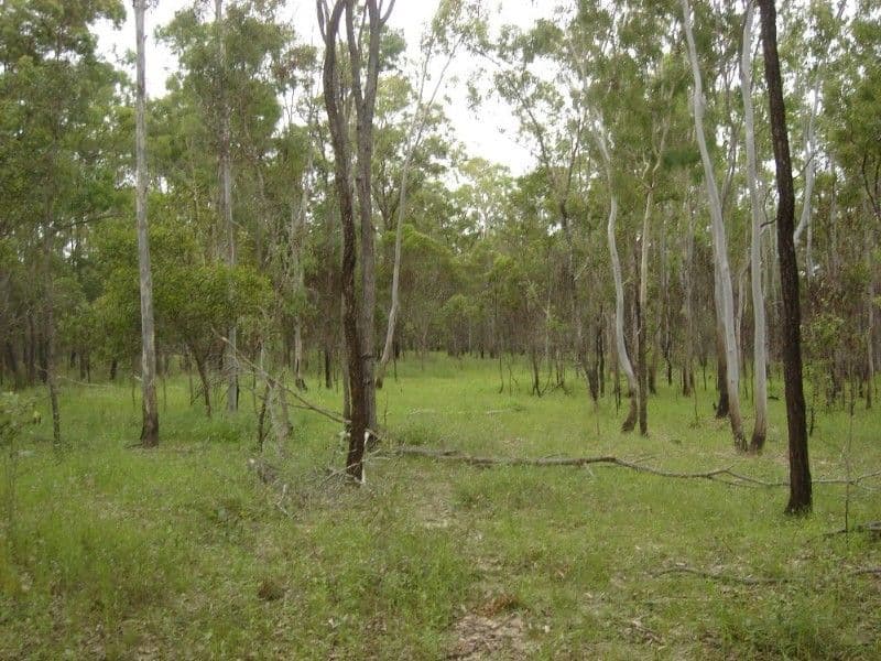 LOWMEAD QLD 4676, Lowmead - Thumbnail 2