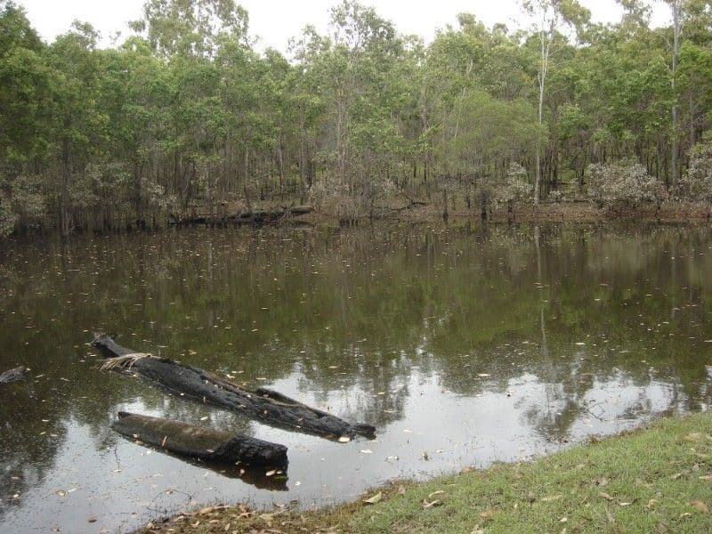 LOWMEAD QLD 4676, Lowmead - Thumbnail 4