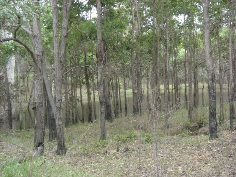 LOWMEAD QLD 4676, Lowmead - Thumbnail 5