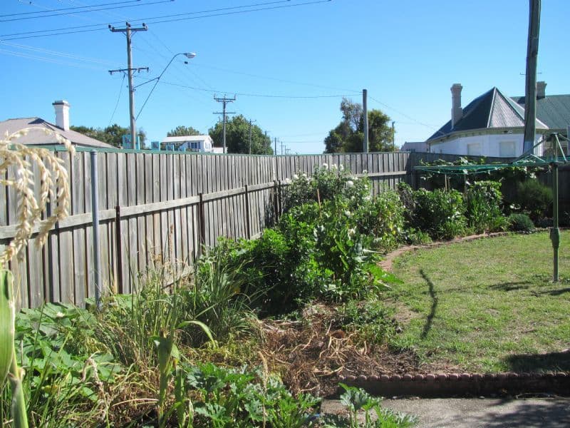 35 Landale Street, INVERMAY TAS 7248, Invermay - Thumbnail 7