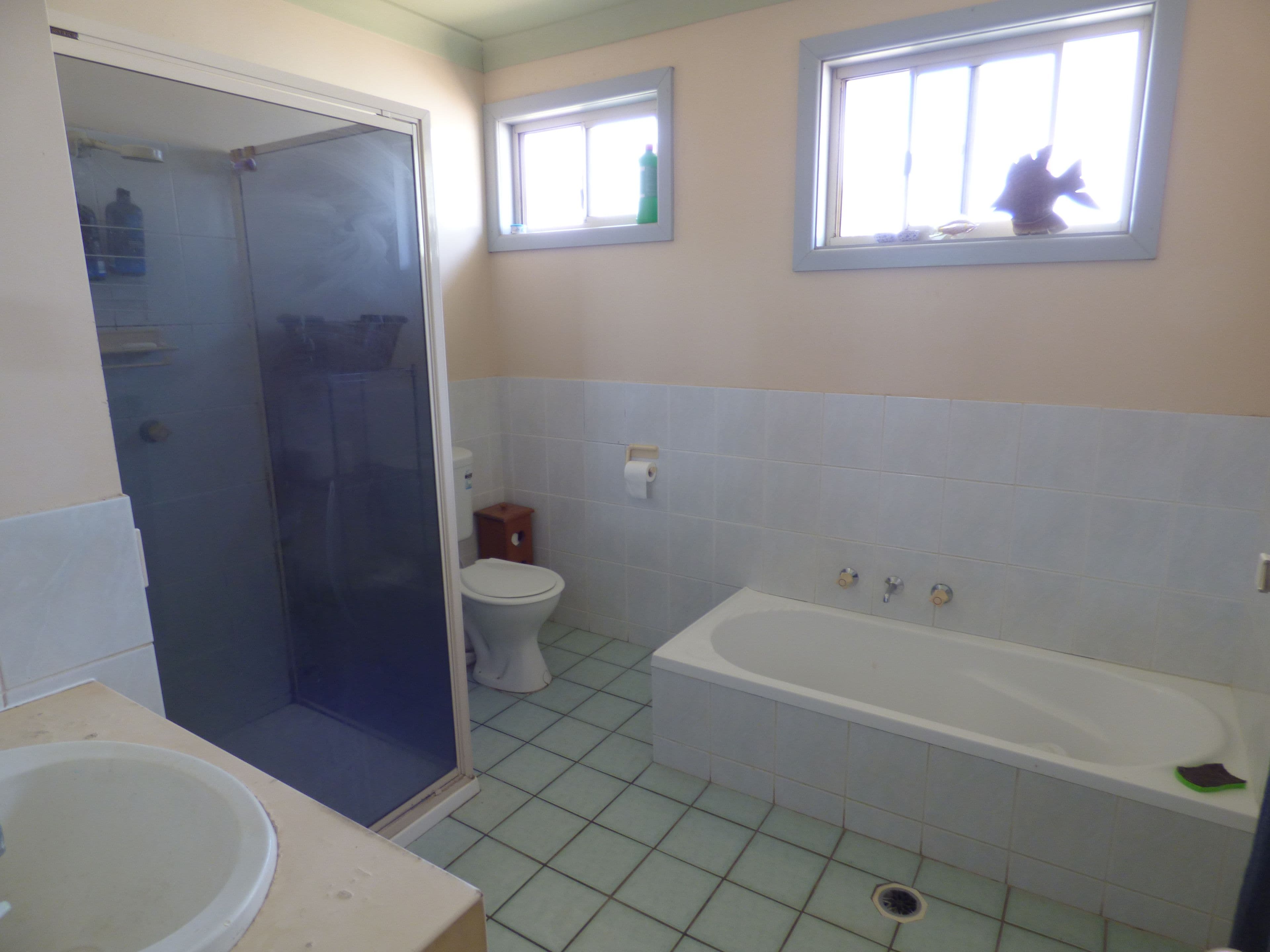 30 Scrivener Street, Forbes - Thumbnail 6