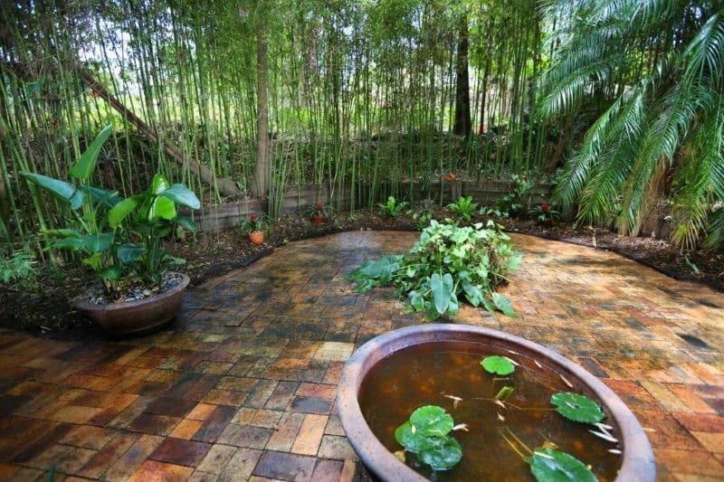 41 Ludlow Street, CHAPEL HILL QLD 4069, Chapel Hill - Thumbnail 7