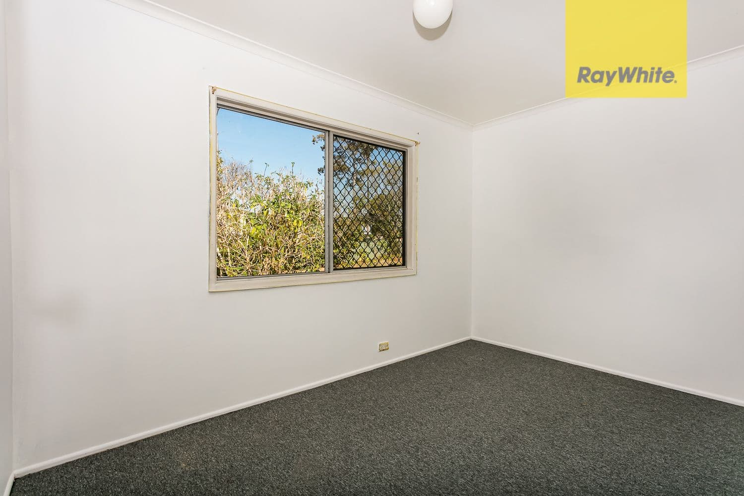 16 Alice Street, Kingston QLD 4114, Kingston - Thumbnail 8