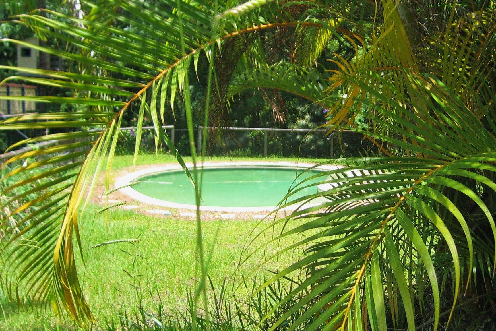 496 Glenview Road, Glenview QLD 4553, Glenview - Thumbnail 3