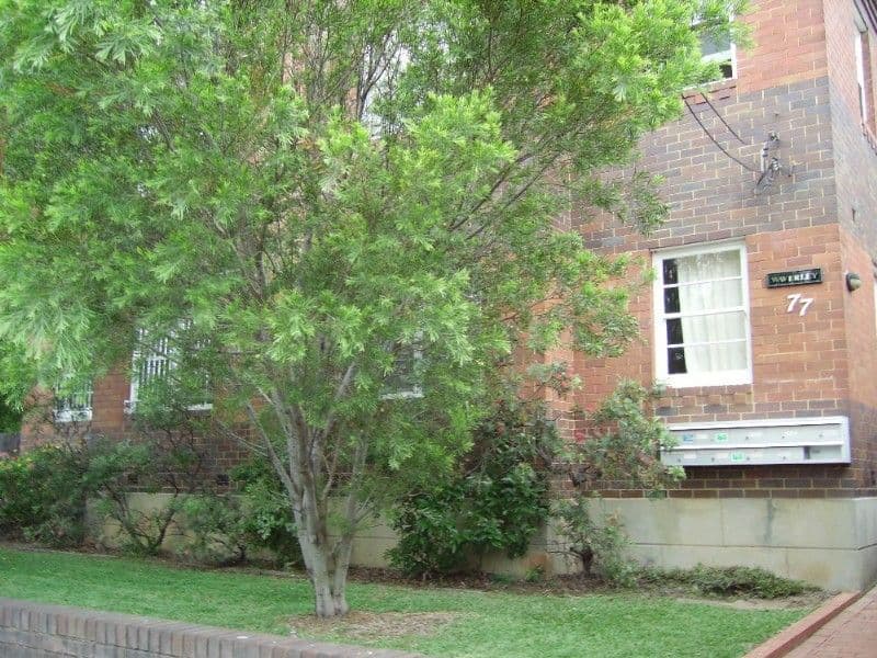 3 Savoy Nook, Shepparton VIC 3630, Shepparton - Image 1
