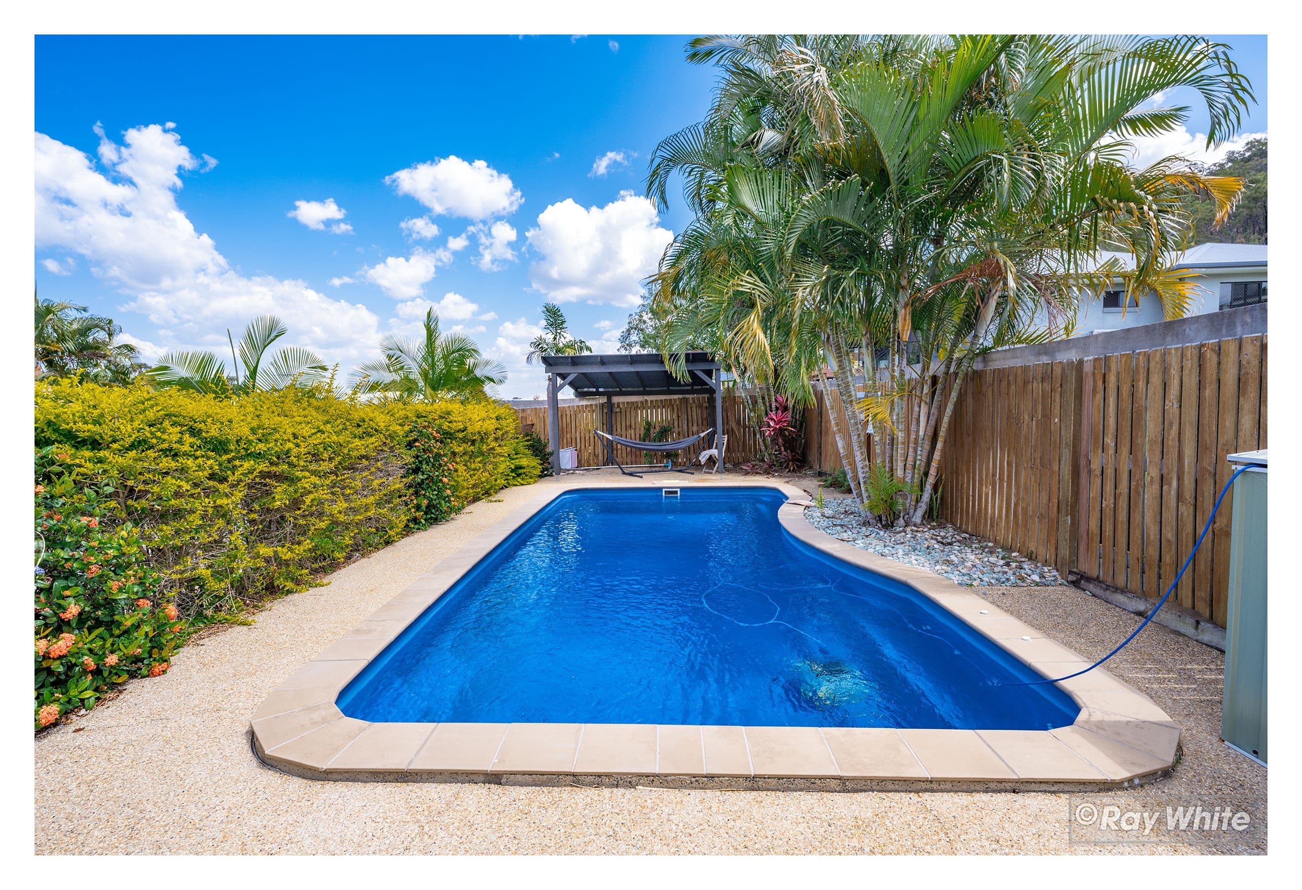 49 Sunset Drive, Norman Gardens QLD 4701, Norman Gardens - Thumbnail 3