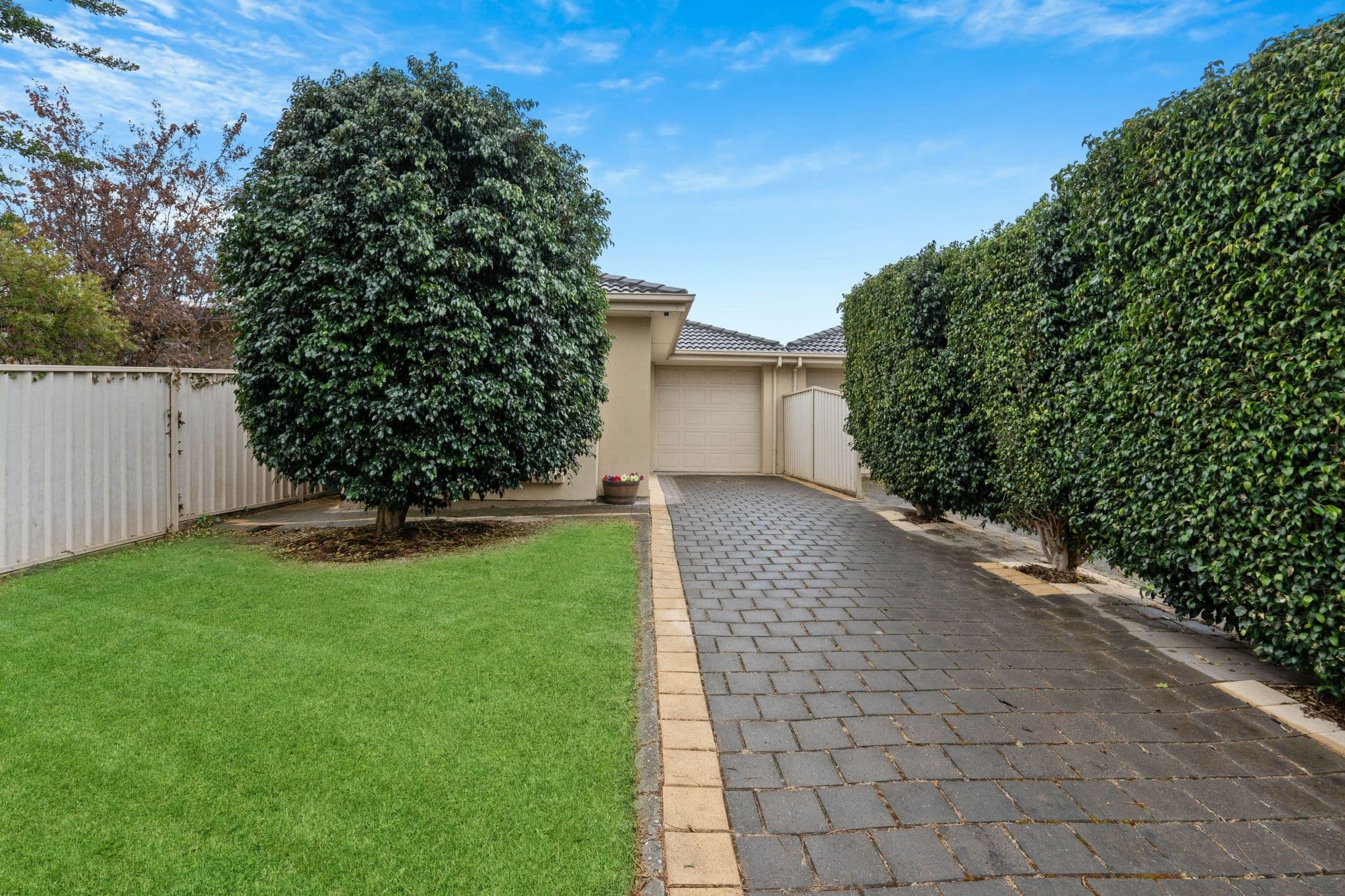6 Lassie Avenue, Windsor Gardens SA 5087, Windsor Gardens - Thumbnail 2