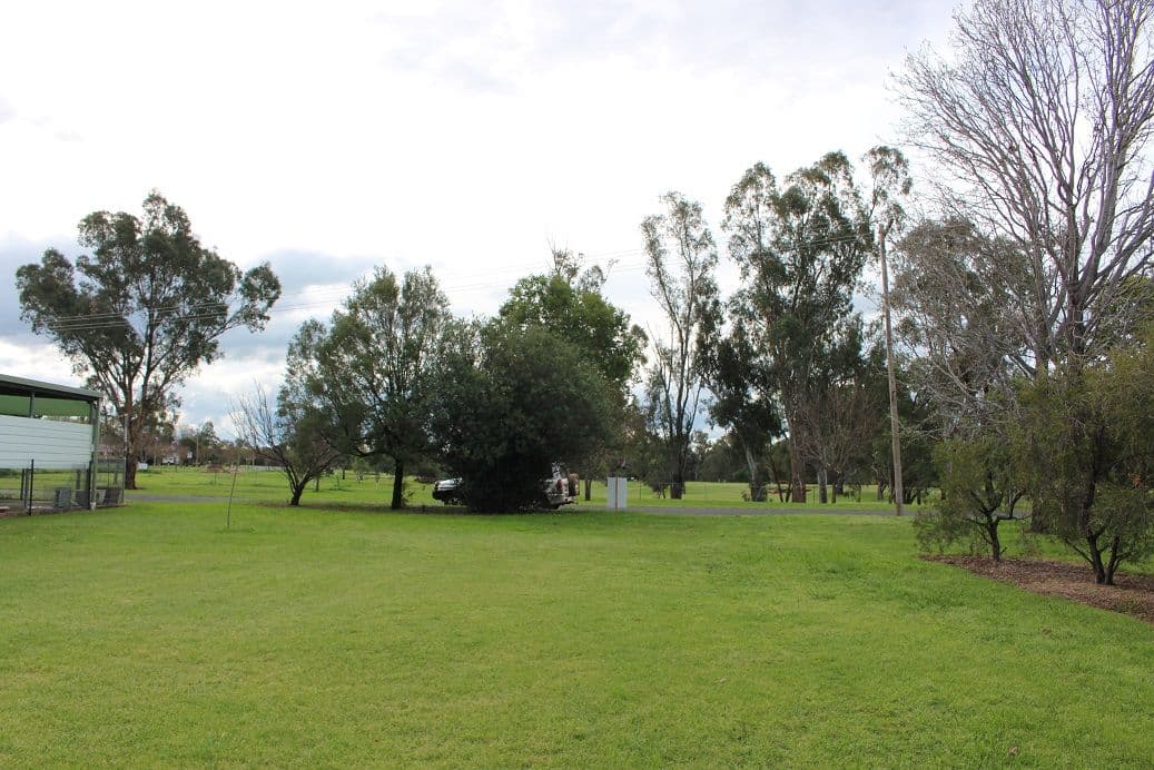 24 Gwydir Terrace, Bingara NSW 2404, Bingara - Thumbnail 2