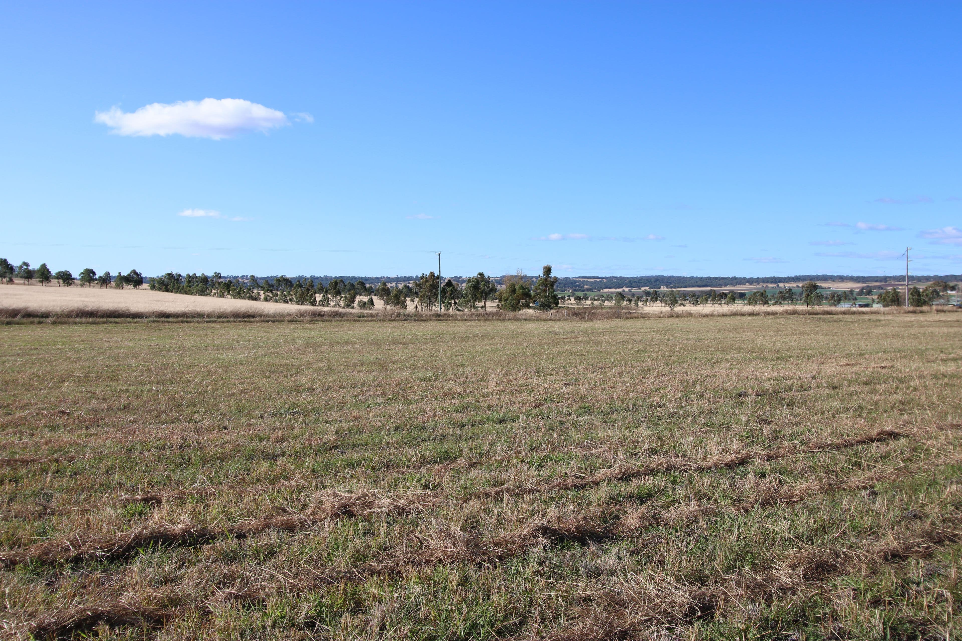Lot 103 Bolands Lane, Inverell NSW 2360, Inverell - Thumbnail 3