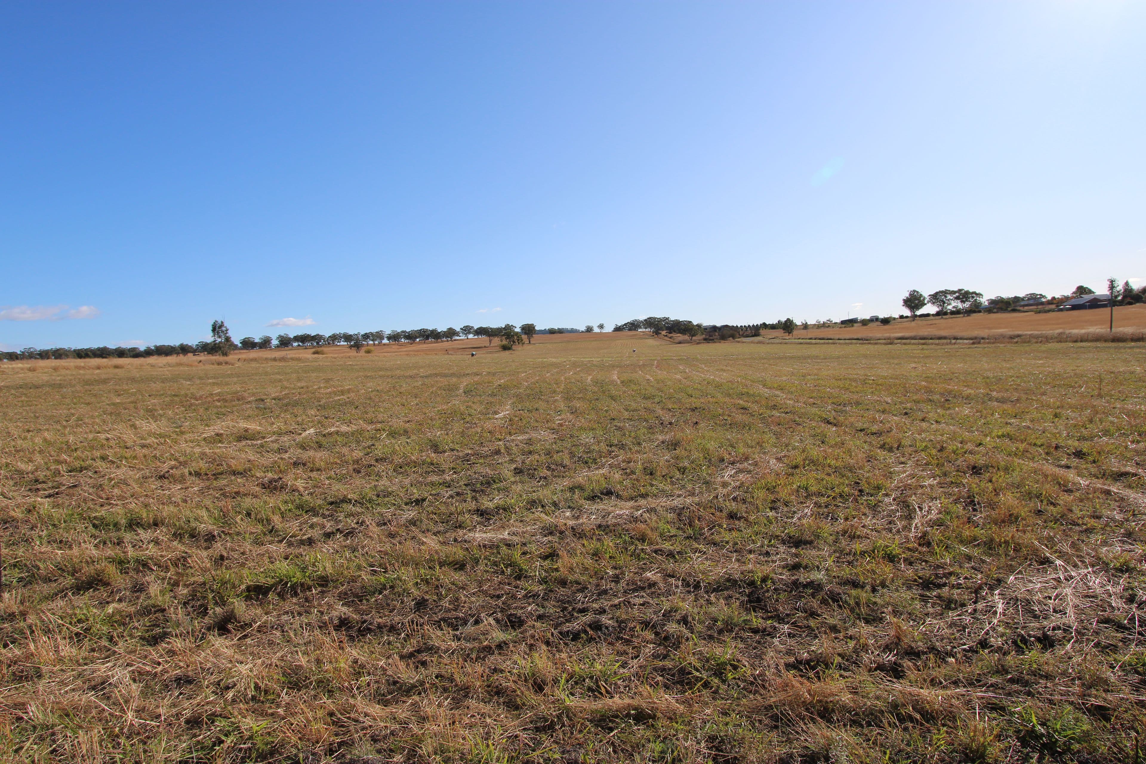 Lot 103 Bolands Lane, Inverell NSW 2360, Inverell - Thumbnail 6