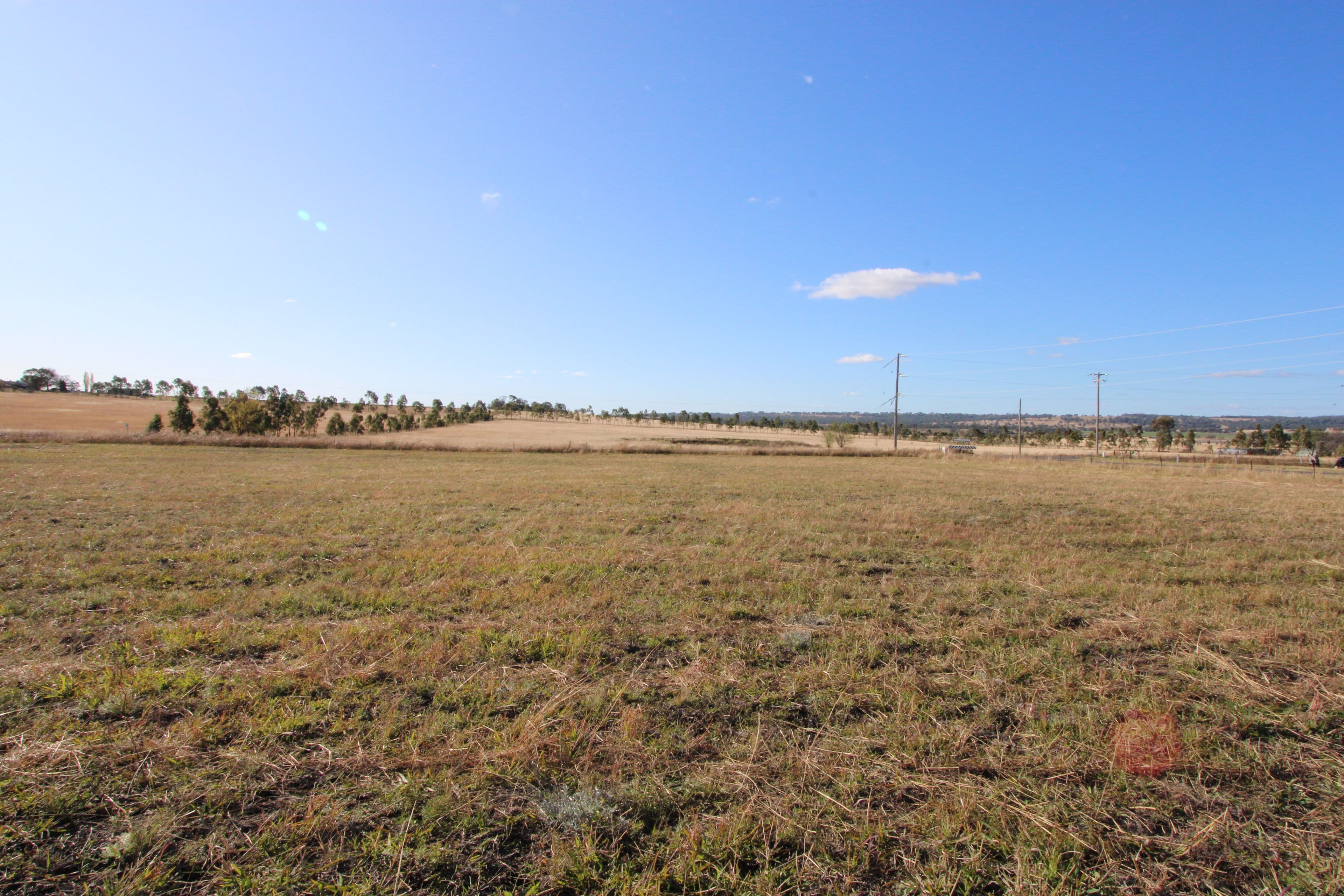 Lot 103 Bolands Lane, Inverell NSW 2360, Inverell - Thumbnail 7