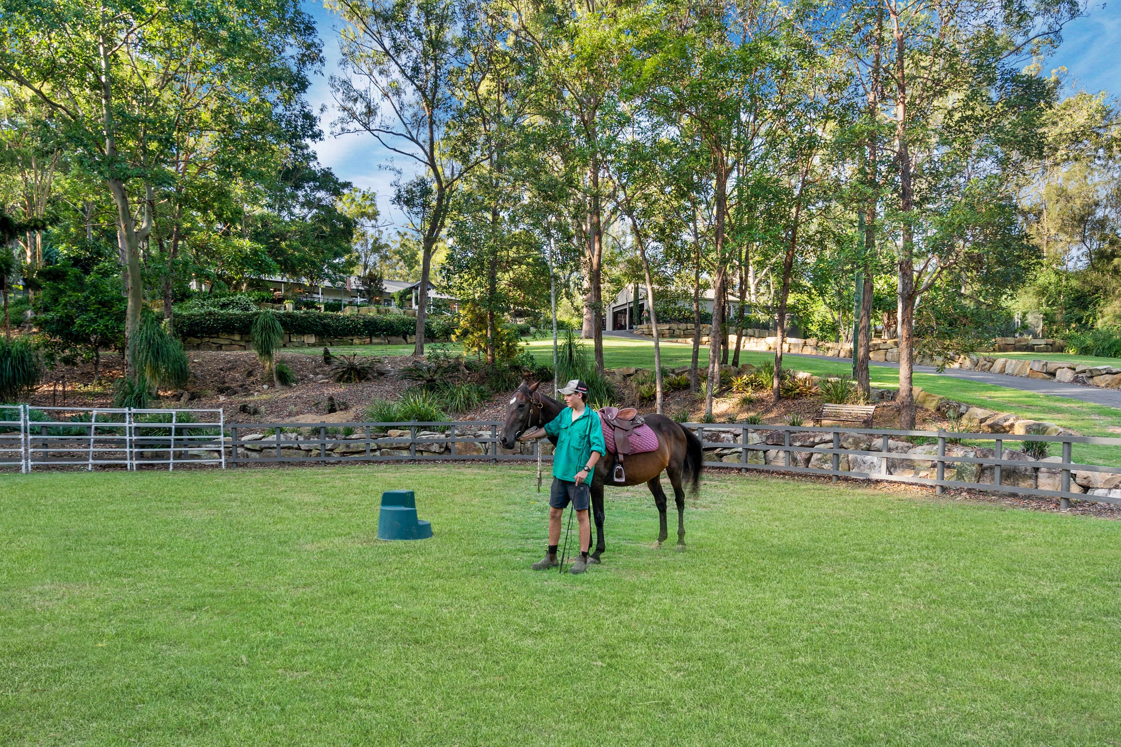 10 Narang Court, Karana Downs QLD 4306, Karana Downs - Thumbnail 2