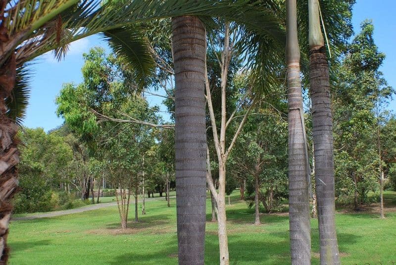 48 Fitzalan Circuit, ARUNDEL QLD 4214, Arundel - Thumbnail 5
