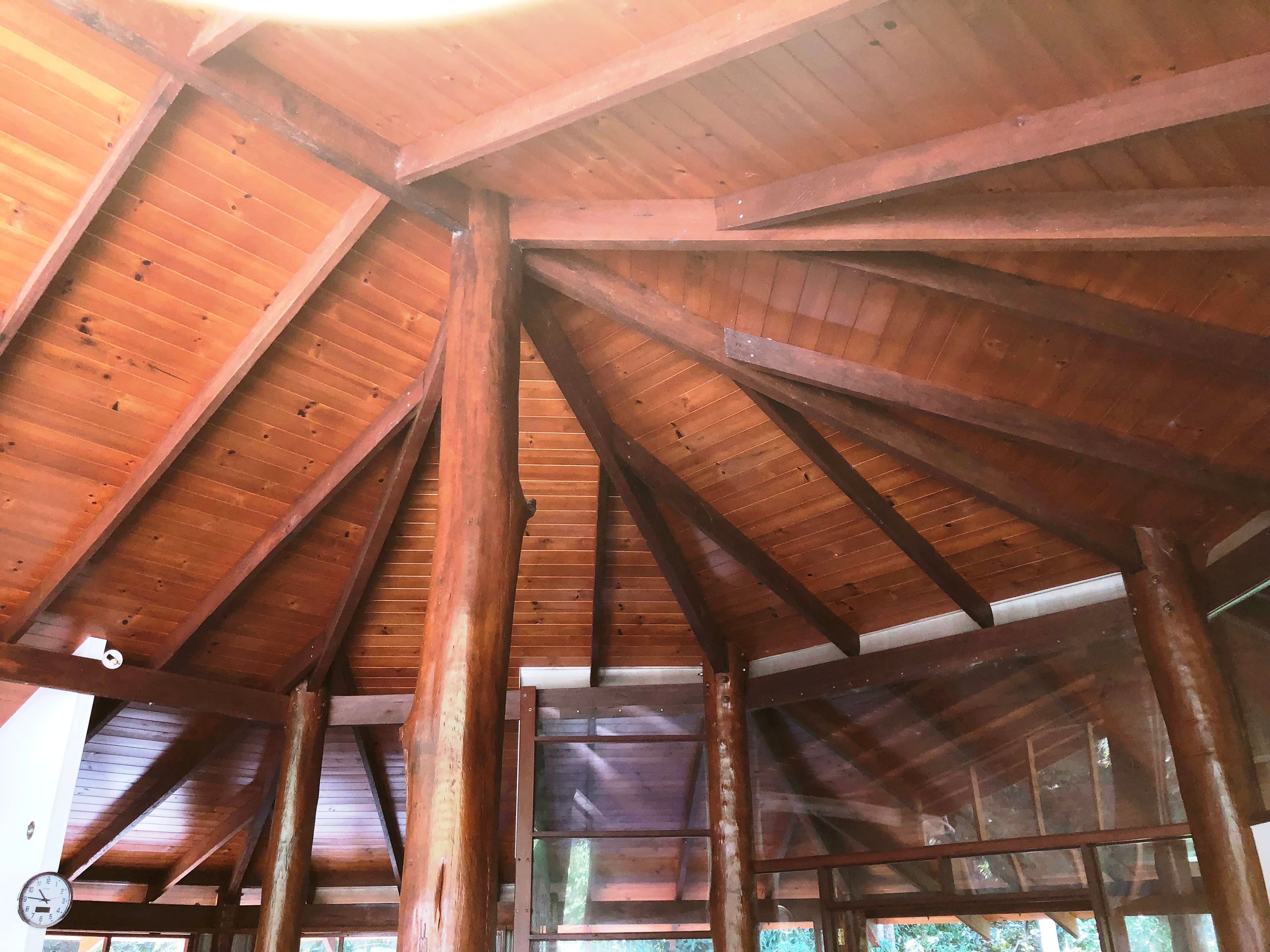 30 Red Gum Road, Cow Bay, Daintree QLD 4873, Daintree - Thumbnail 5