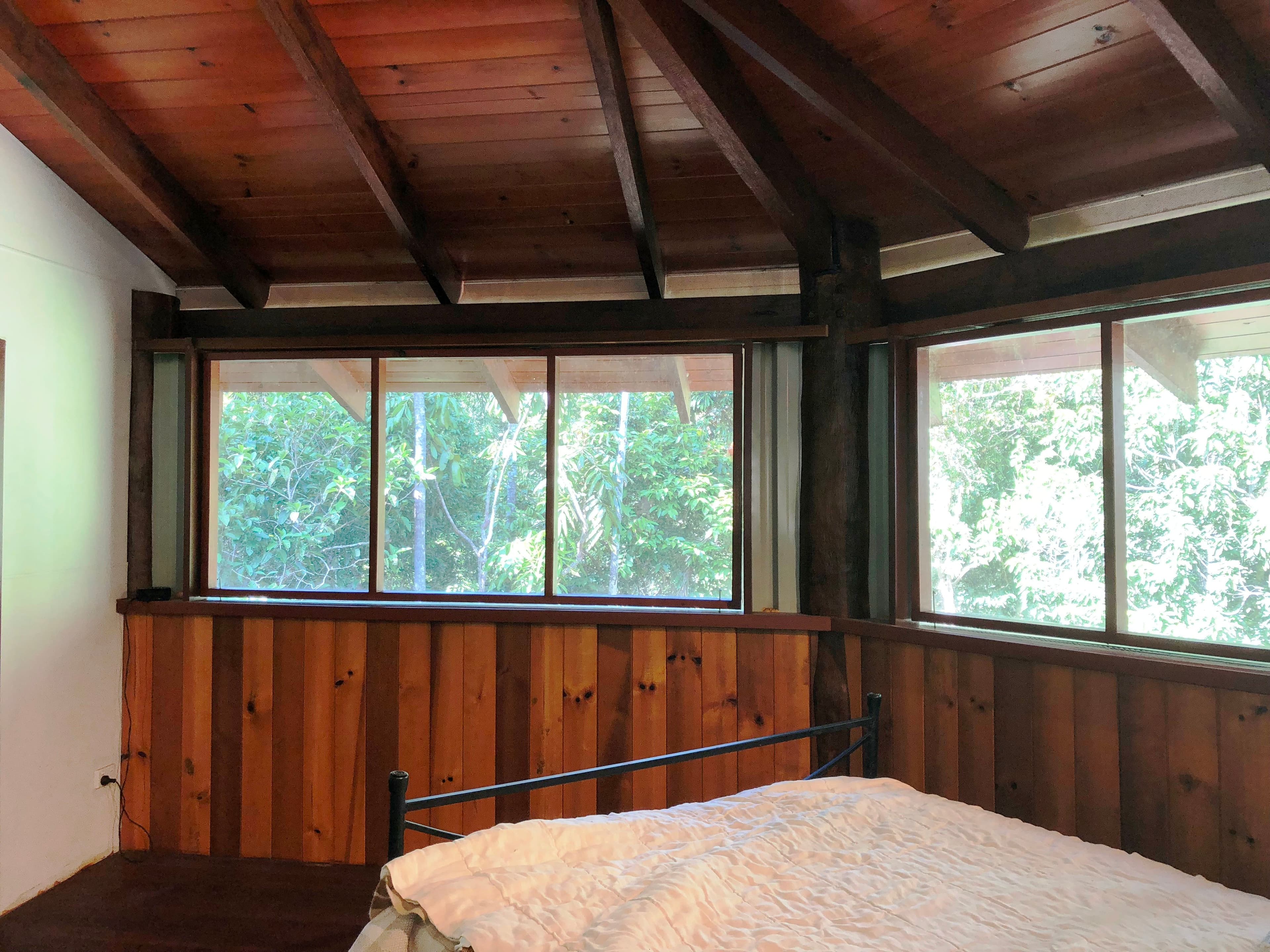 30 Red Gum Road, Cow Bay, Daintree QLD 4873, Daintree - Thumbnail 7