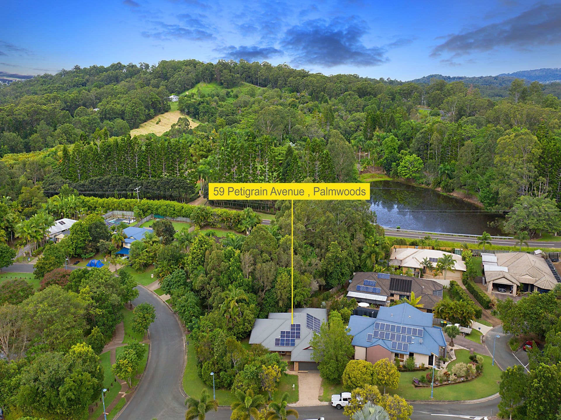 59 Petigrain Avenue, Palmwoods QLD 4555, Palmwoods - Image 1