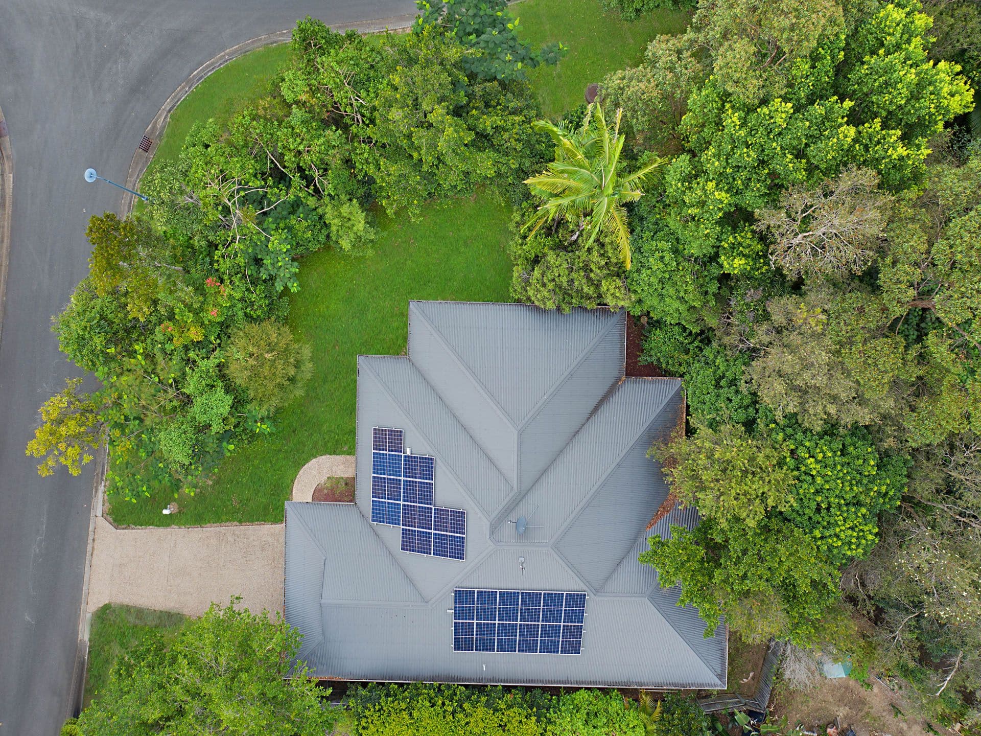 59 Petigrain Avenue, Palmwoods QLD 4555, Palmwoods - Thumbnail 3