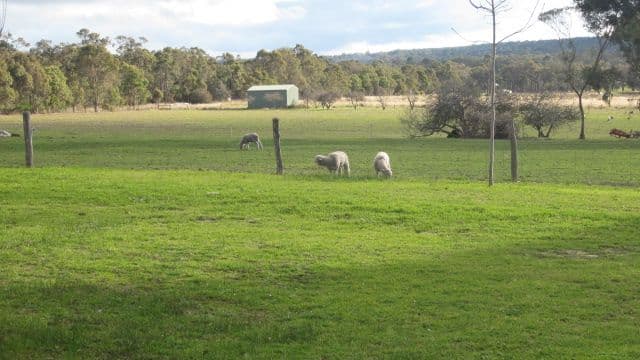 Lot 50 Porongurups Road, MOUNT BARKER WA 6324, Mount Barker - Thumbnail 4