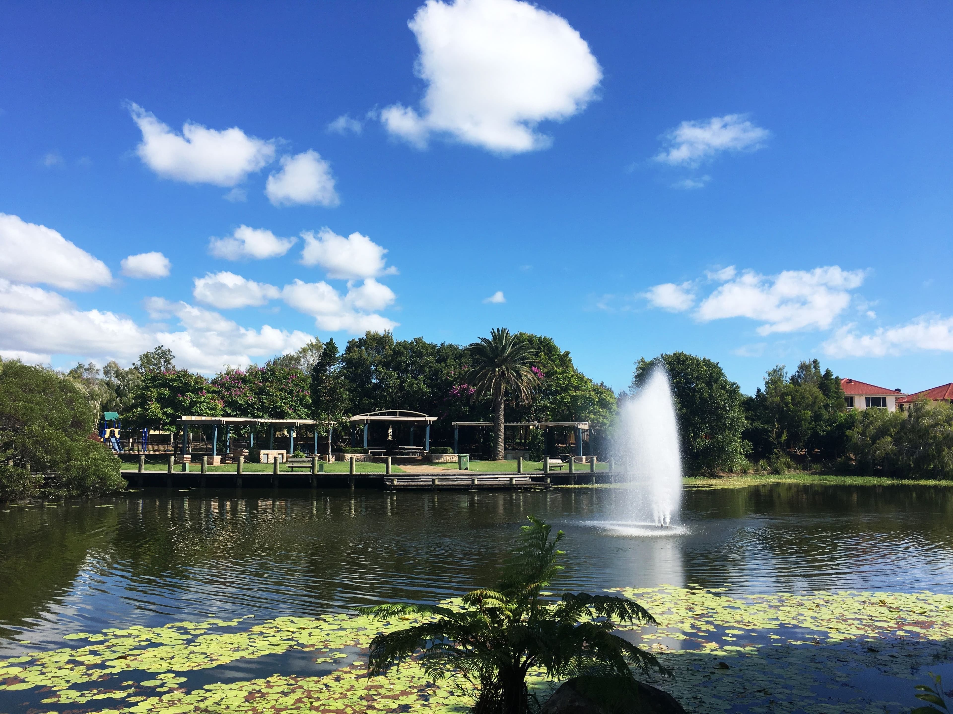 112 Olympus Drive, Robina QLD 4226, Robina - Thumbnail 7