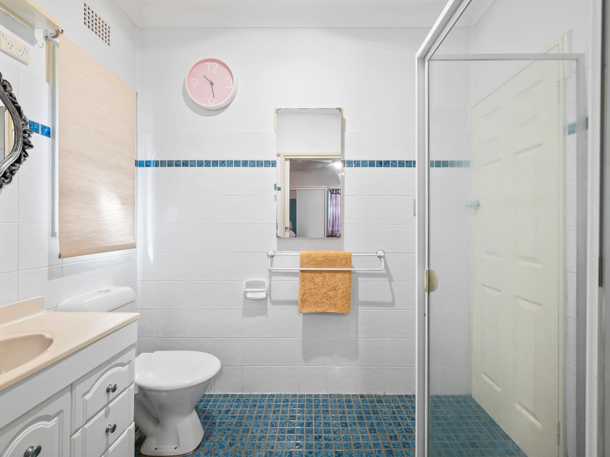 81 Hoddle Avenue, Bradbury NSW 2560, Bradbury - Thumbnail 7