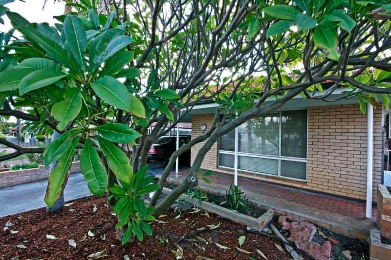189 Wright Street, KEWDALE WA 6105, Kewdale - Thumbnail 2