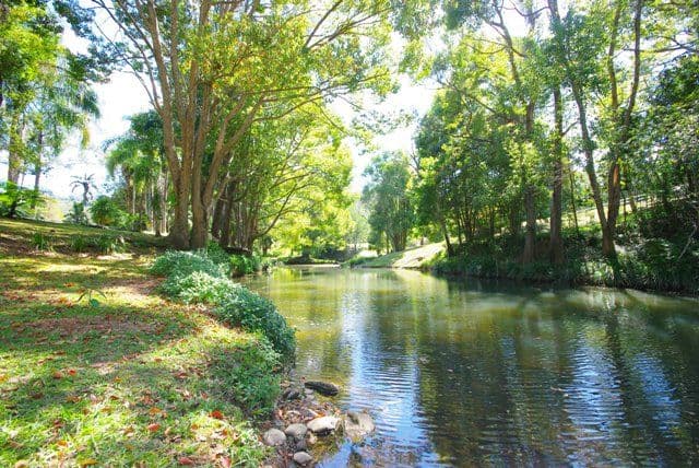 718 Currumbin Creek Road, CURRUMBIN VALLEY QLD 4223, Currumbin Valley - Thumbnail 4