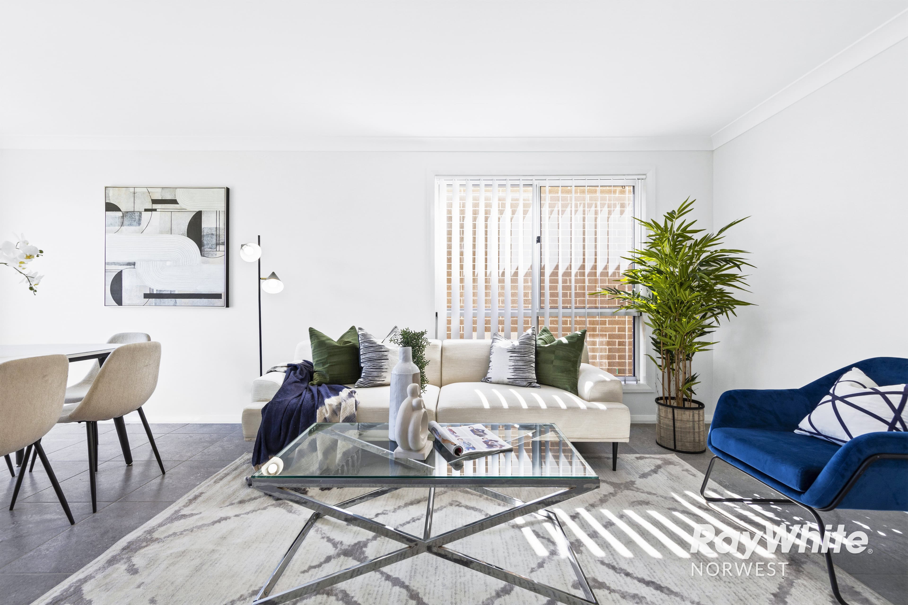 8 Woolly Street, Cobbitty NSW 2570, Cobbitty - Thumbnail 3
