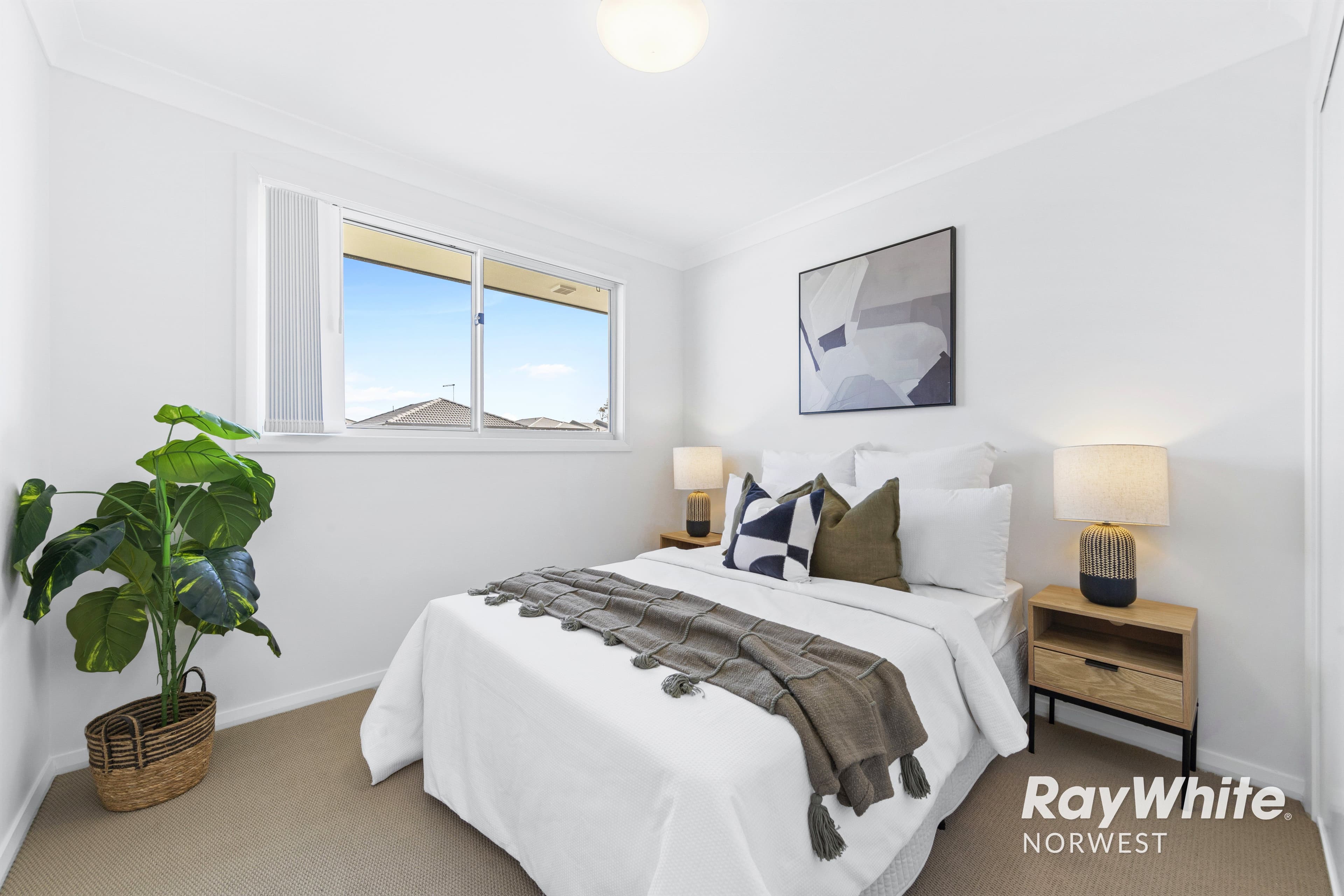 8 Woolly Street, Cobbitty NSW 2570, Cobbitty - Thumbnail 8