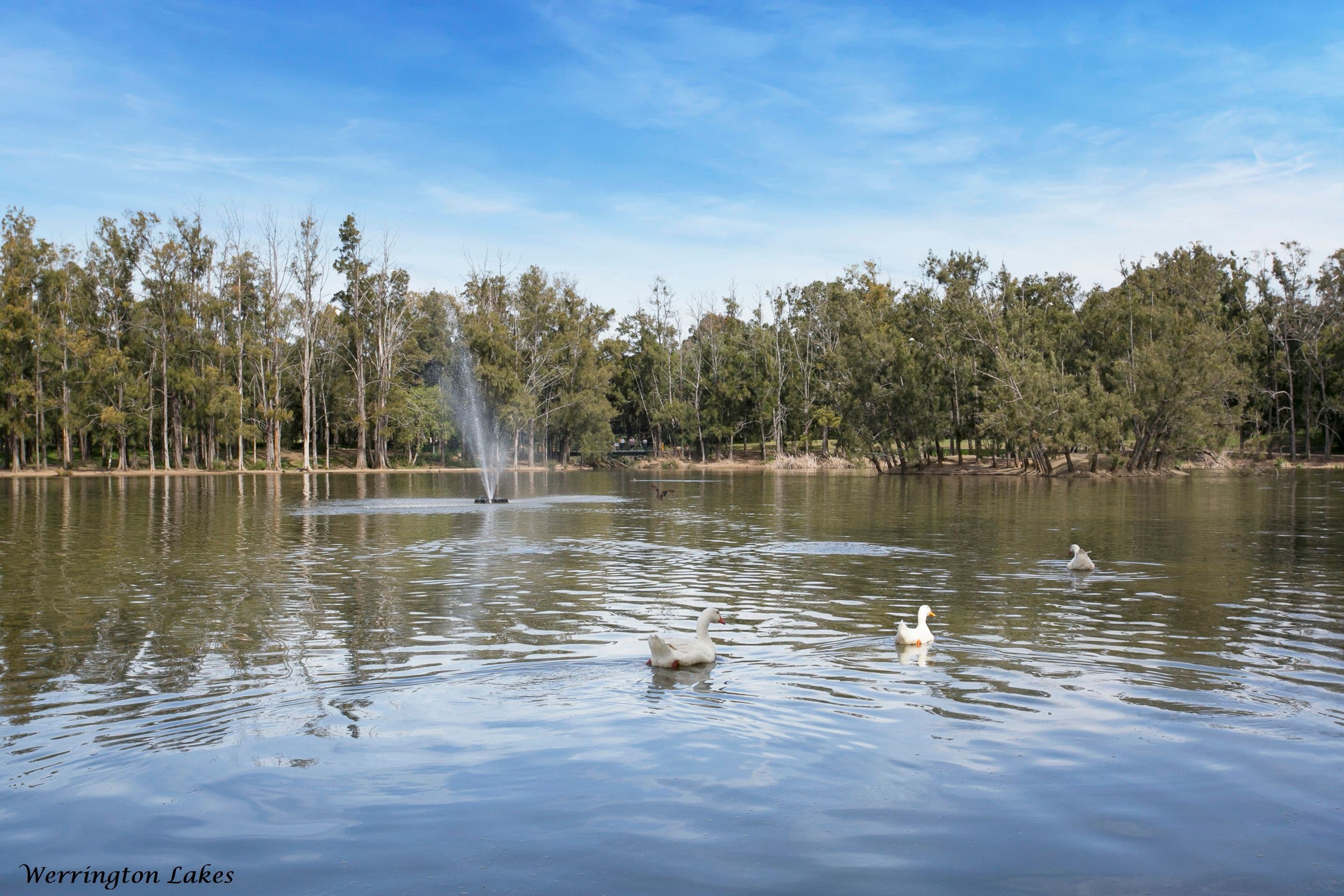 4 Kerran Close, Cambridge Park NSW 2747, Cambridge Park - Thumbnail 3