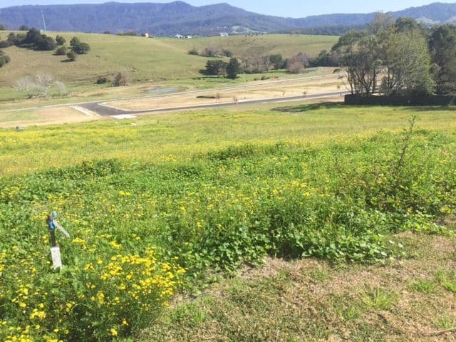 22 Wyalla Road, Jamberoo NSW 2533, Jamberoo - Image 1