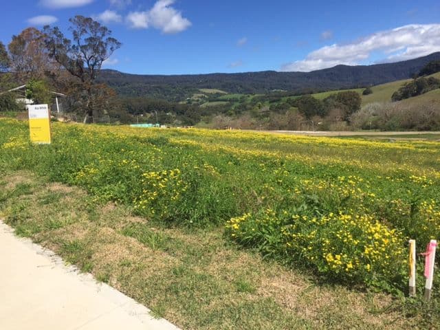 22 Wyalla Road, Jamberoo NSW 2533, Jamberoo - Thumbnail 5