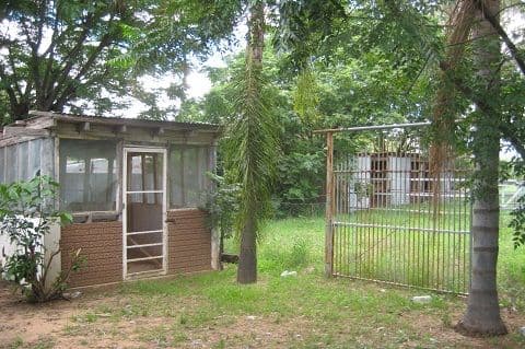 8 Castlereagh Street, COONAMBLE NSW 2829, Coonamble - Thumbnail 2