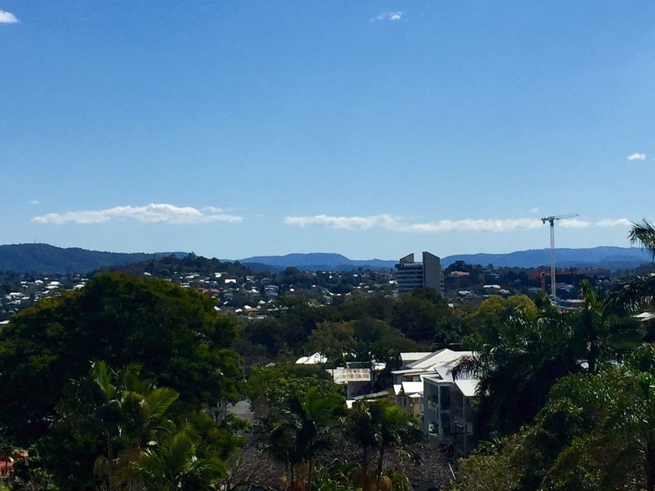 22 Mikado Street, Hamilton QLD 4007, Hamilton - Thumbnail 3