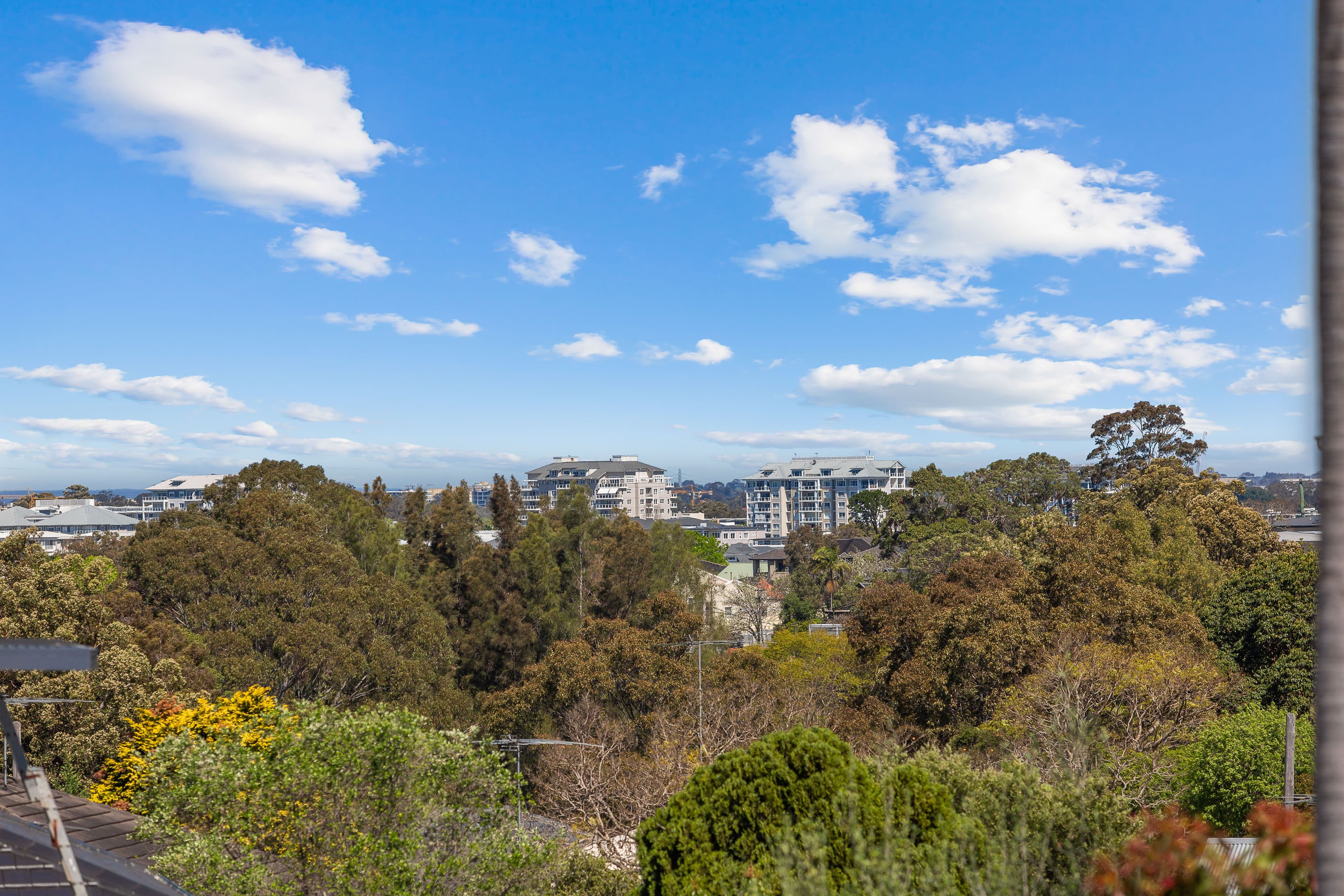 43 Brereton Street, Gladesville NSW 2111, Gladesville - Thumbnail 8