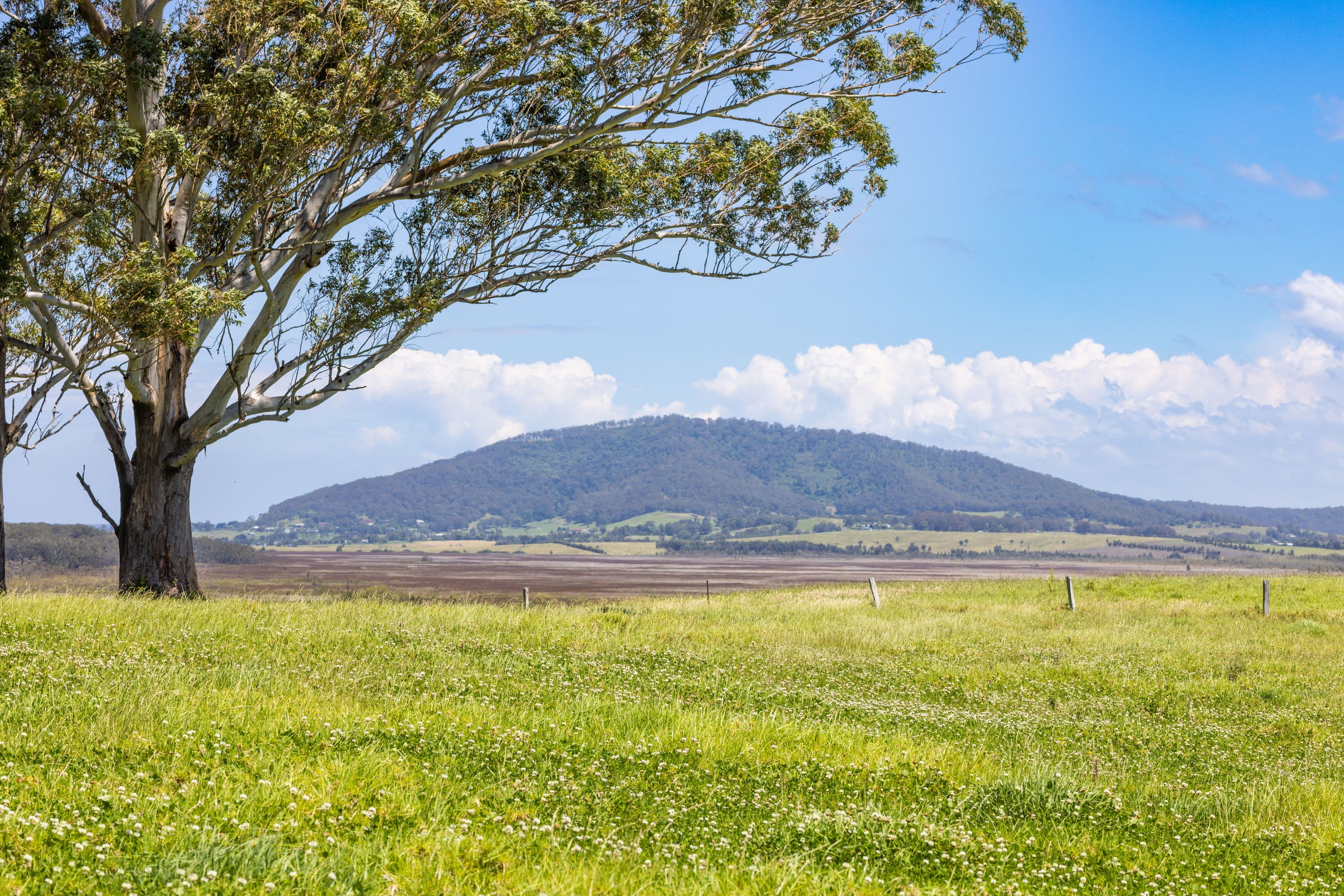 Lot 10 "Serenity Ridge", 510 Beach Road, Berry NSW 2535, Berry - Thumbnail 2