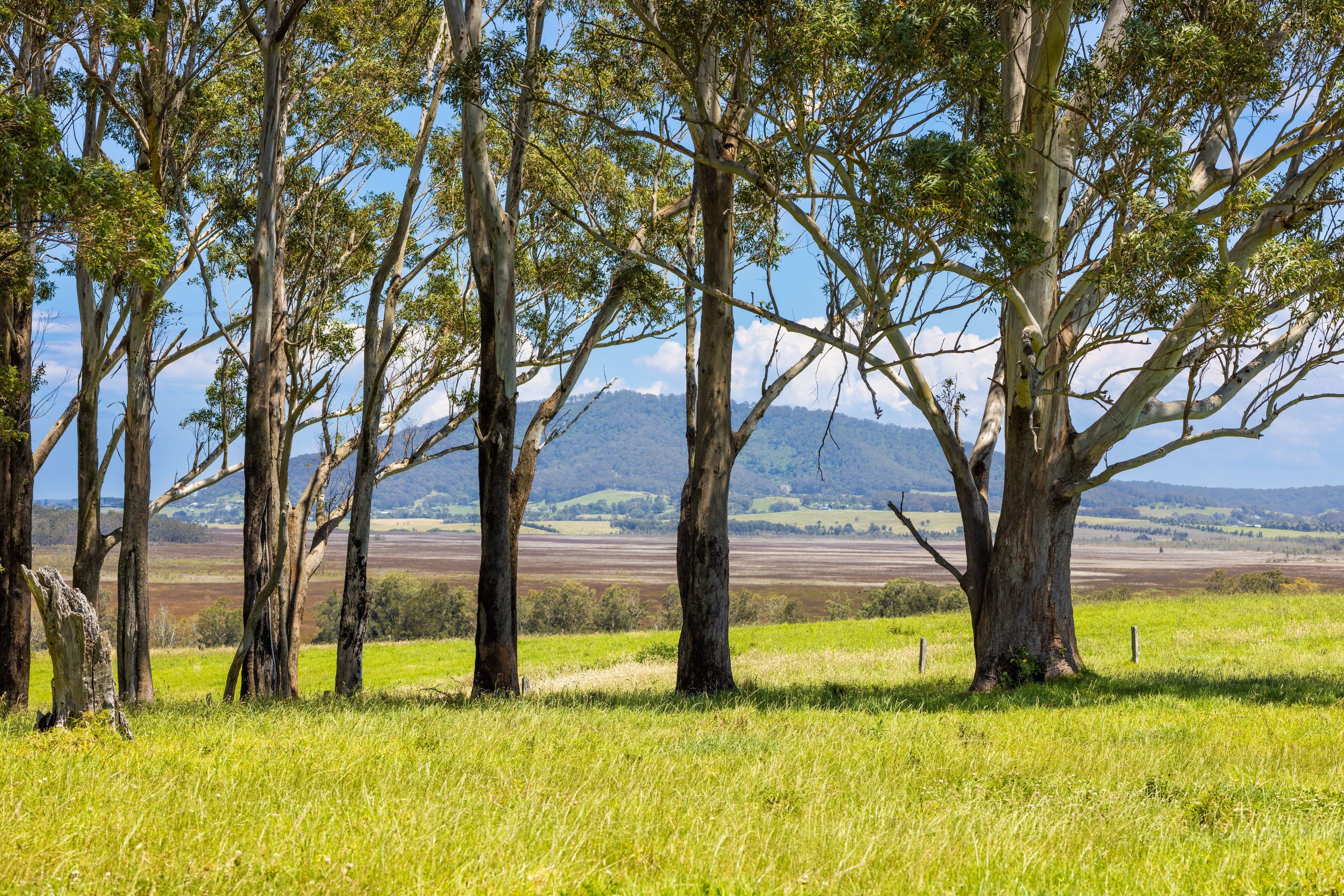 Lot 10 "Serenity Ridge", 510 Beach Road, Berry NSW 2535, Berry - Thumbnail 3