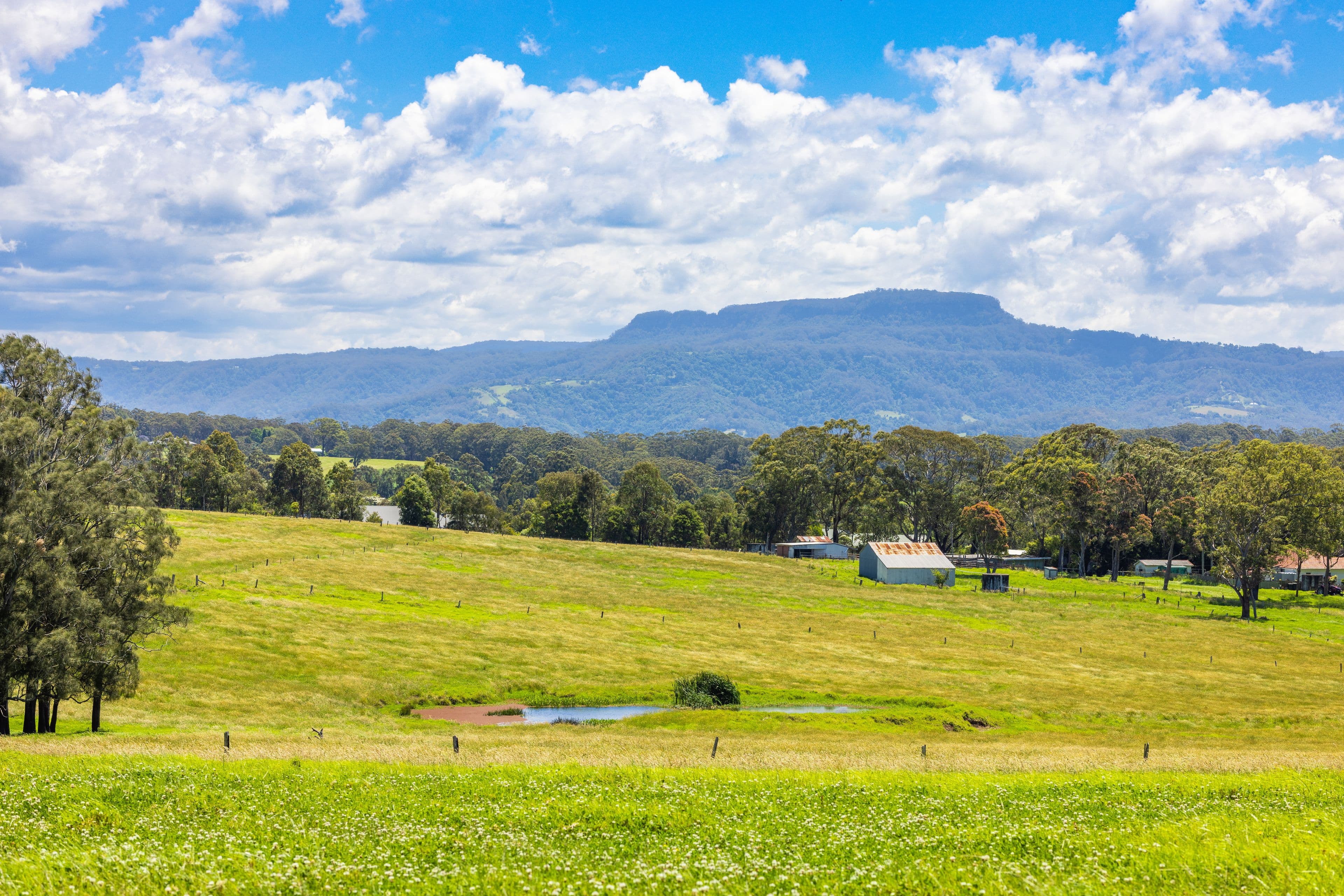 Lot 10 "Serenity Ridge", 510 Beach Road, Berry NSW 2535, Berry - Thumbnail 4
