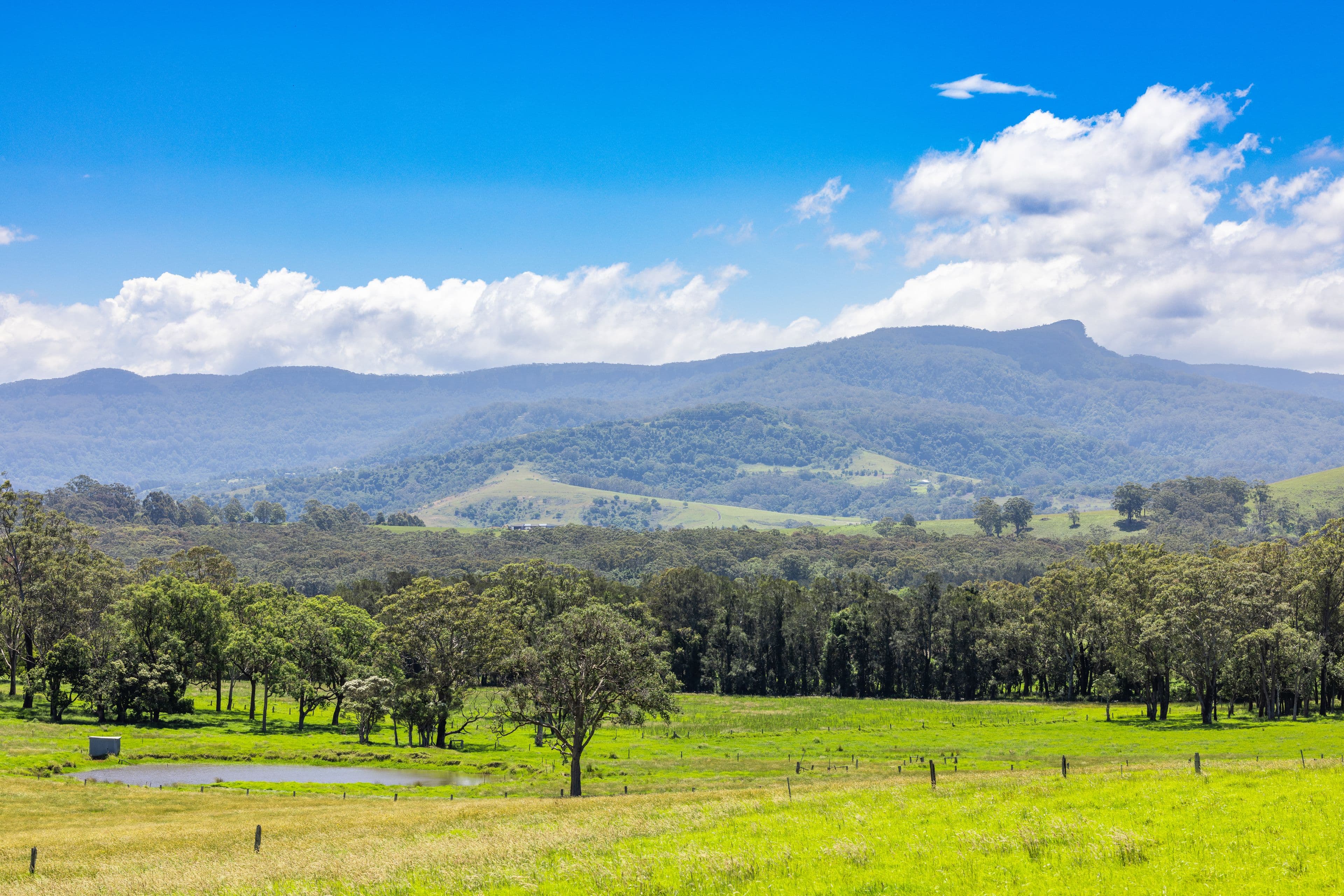 Lot 10 "Serenity Ridge", 510 Beach Road, Berry NSW 2535, Berry - Thumbnail 6