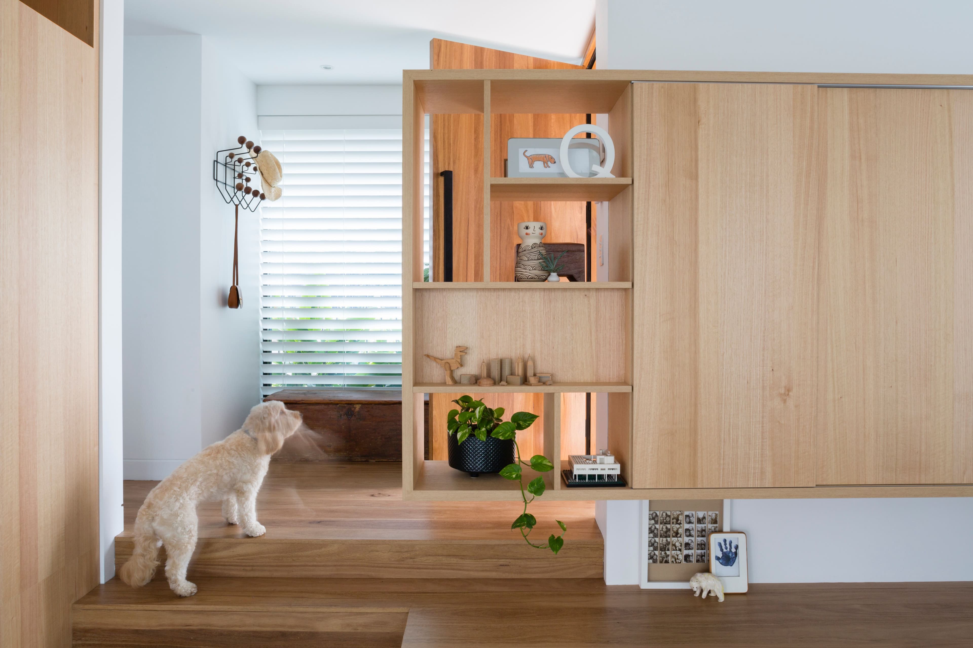 22 Ennis Street, Balmain - Thumbnail 5