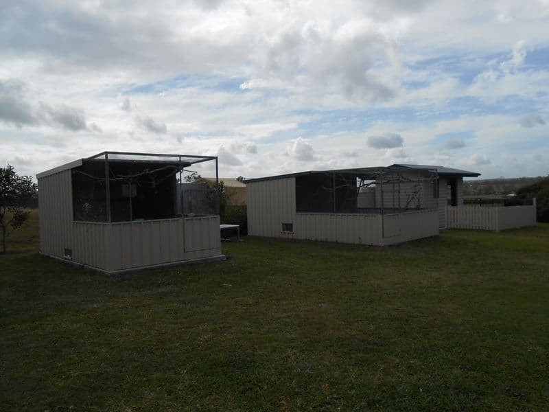 519 Munbilla Road, MUNBILLA QLD 4309, Munbilla - Thumbnail 6
