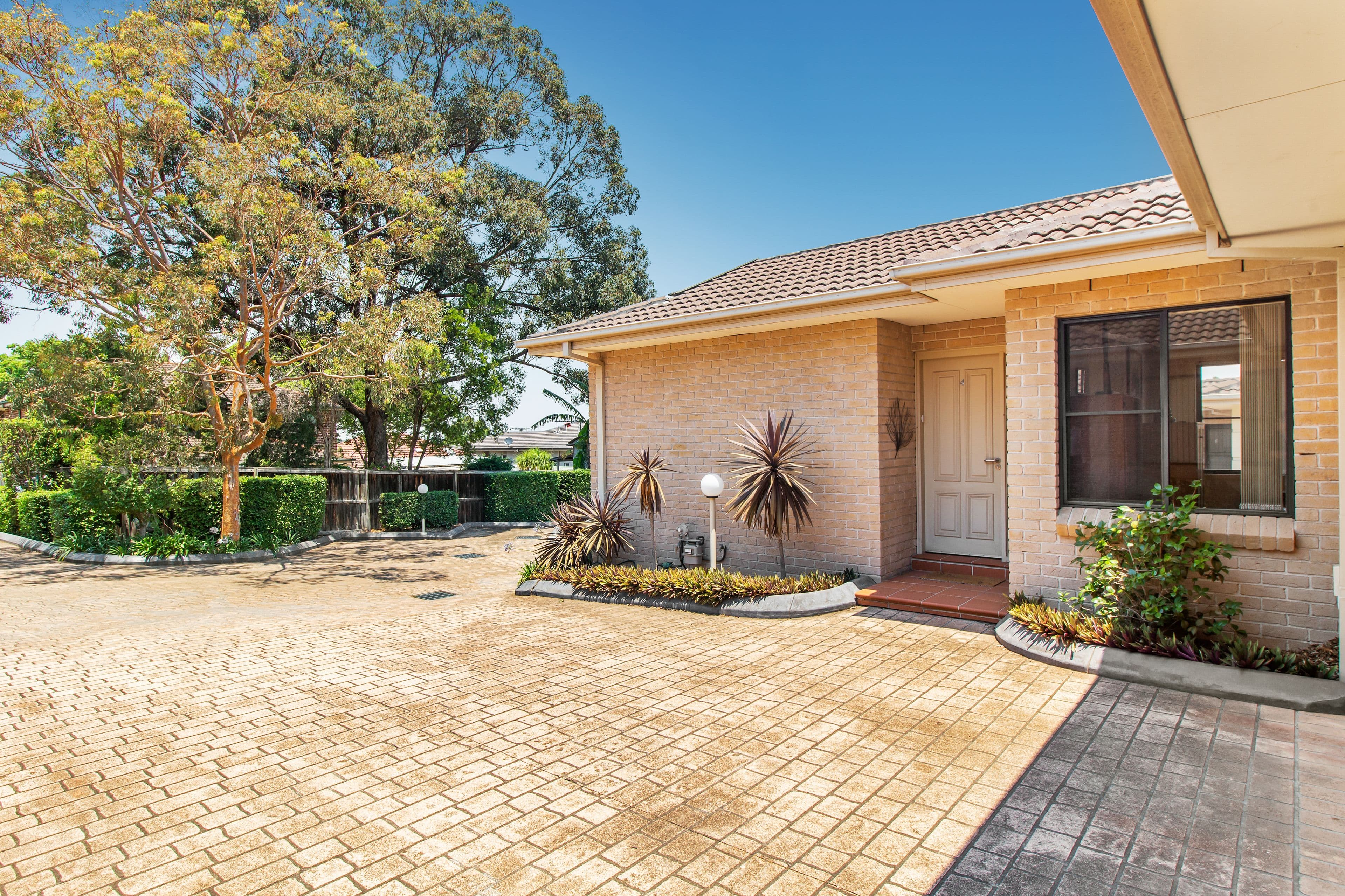 9 Mitchell Street, Putney - Thumbnail 3