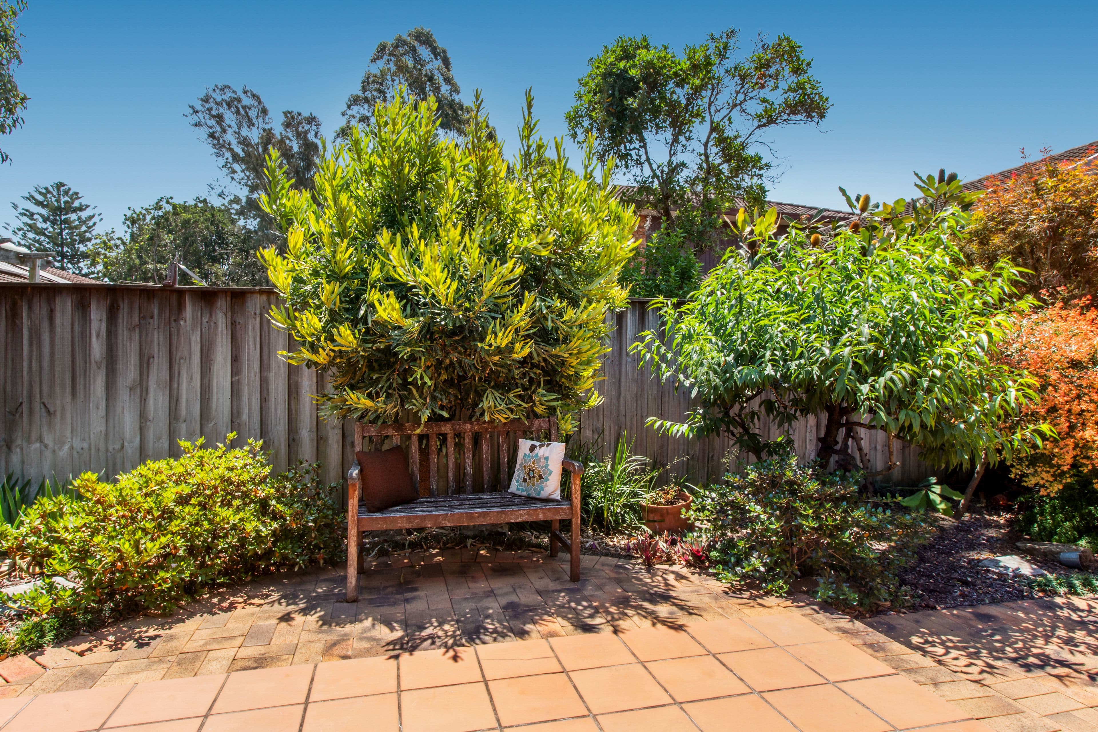 9 Mitchell Street, Putney - Thumbnail 5