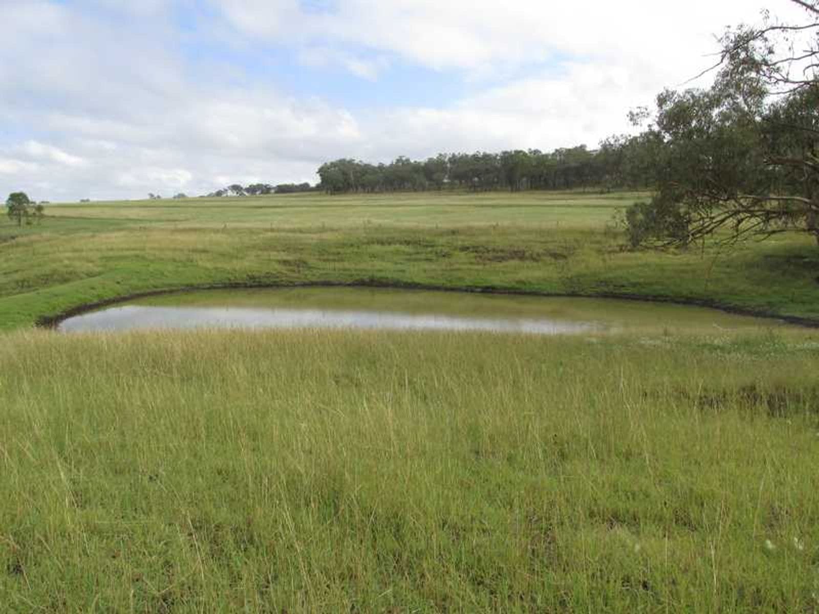 Lt 3 Womina-Willowvale Raod QLD 4370, Lt 3 Womina-Willowvale Raod - Thumbnail 4