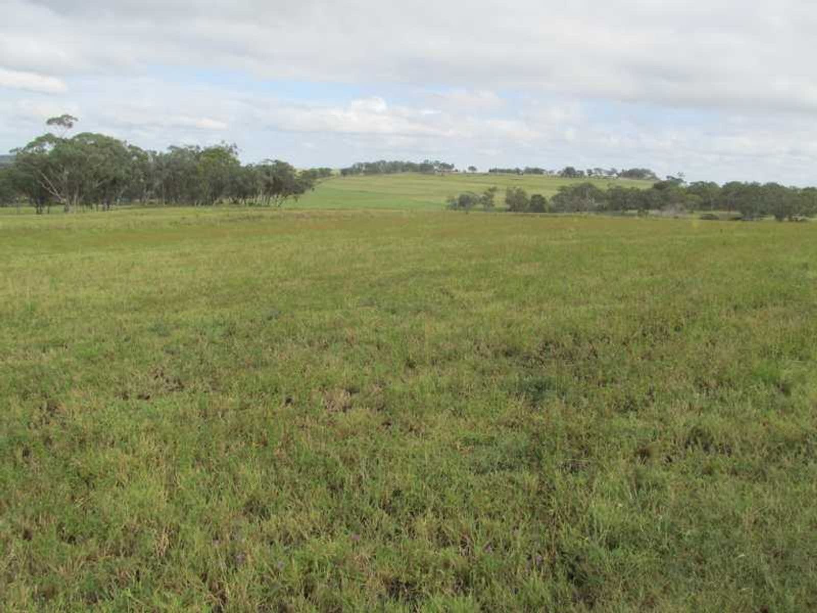 Lt 3 Womina-Willowvale Raod QLD 4370, Lt 3 Womina-Willowvale Raod - Thumbnail 5