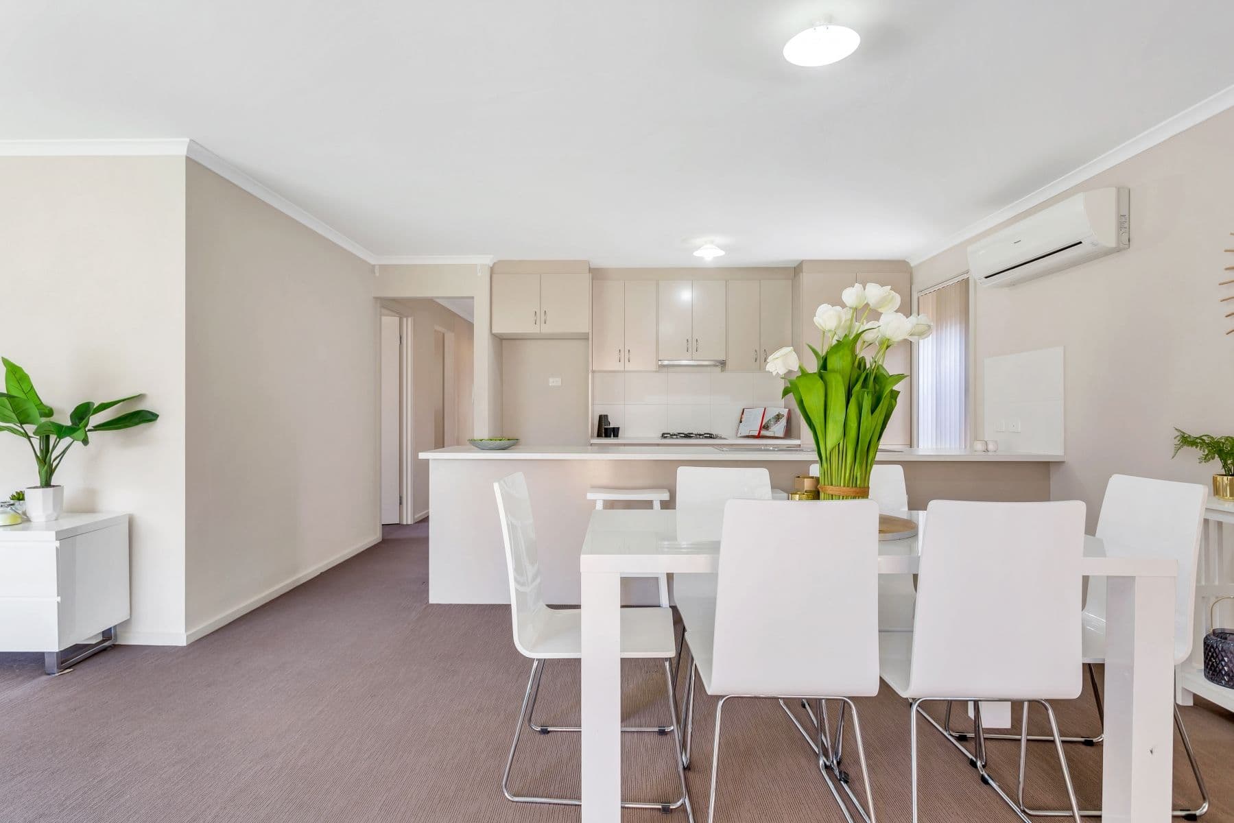 11 Leech Street, Seaford Meadows SA 5169, Seaford Meadows - Thumbnail 3