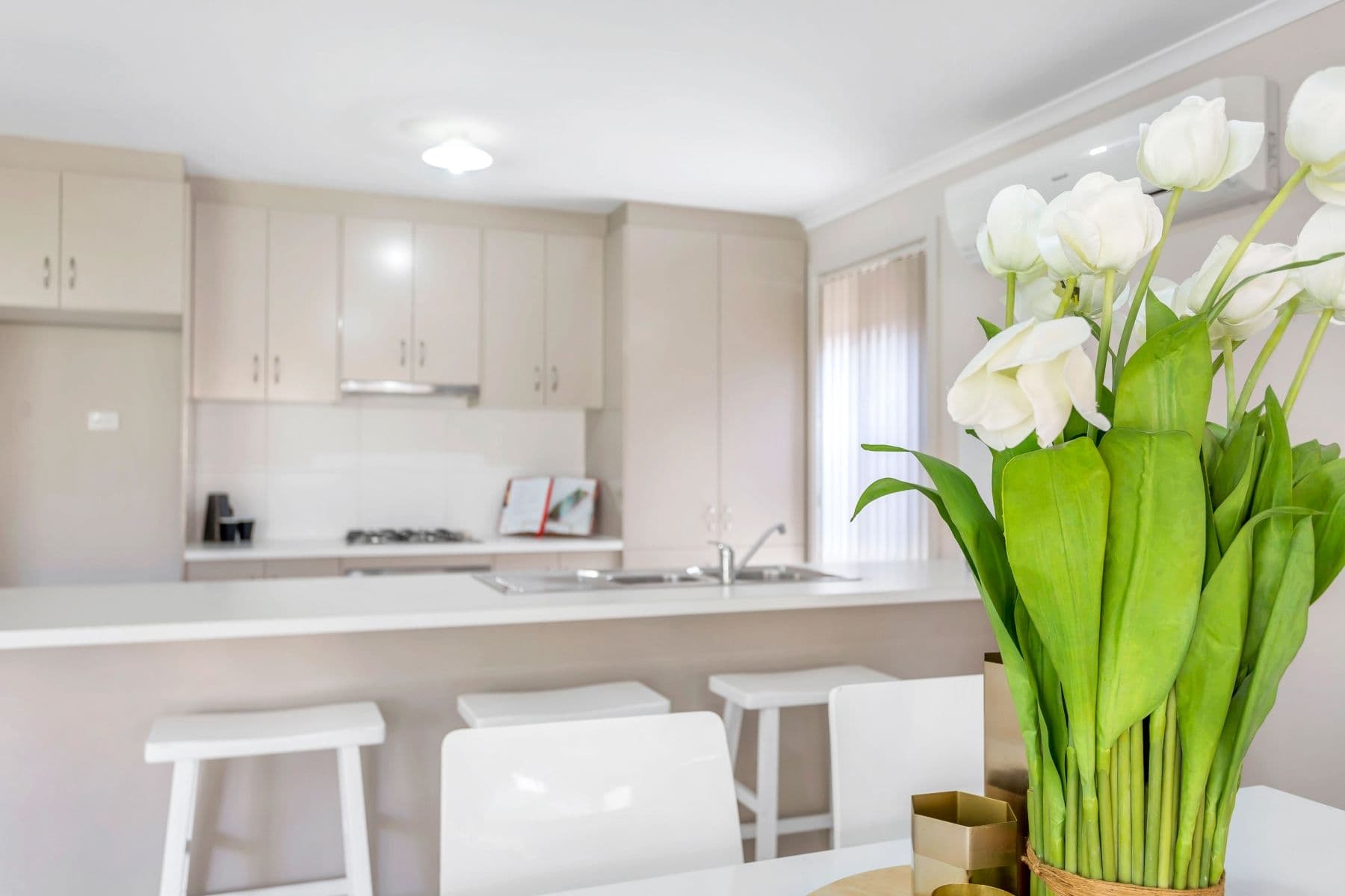 11 Leech Street, Seaford Meadows SA 5169, Seaford Meadows - Thumbnail 5
