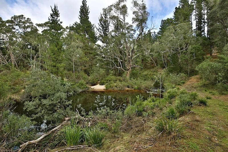 259 Corang Post Office Road, Nerriga NSW 2622, Nerriga - Thumbnail 3