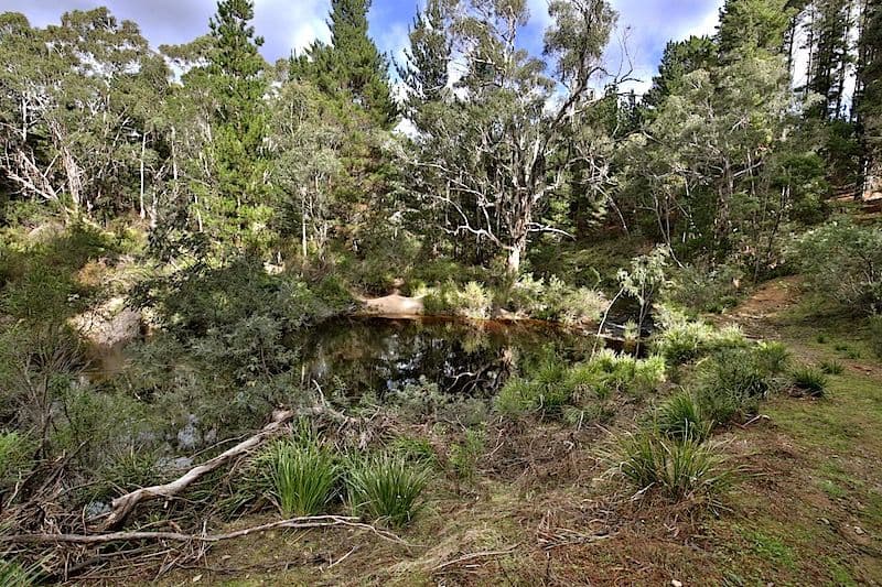 259 Corang Post Office Road, Nerriga NSW 2622, Nerriga - Thumbnail 4
