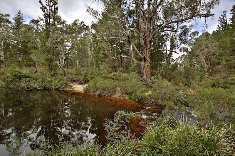 259 Corang Post Office Road, Nerriga NSW 2622, Nerriga - Thumbnail 5