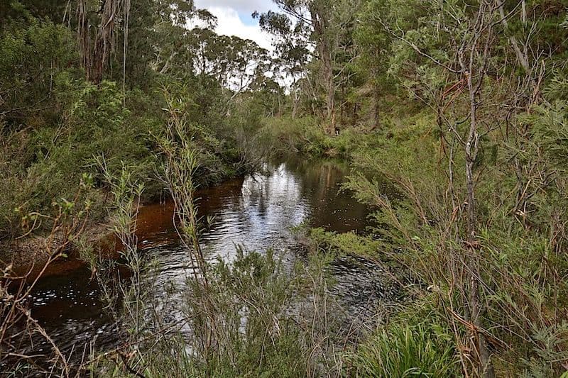 259 Corang Post Office Road, Nerriga NSW 2622, Nerriga - Thumbnail 6